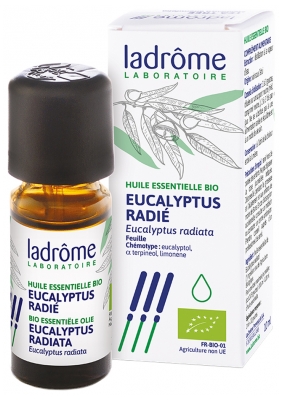 Ladrôme Spindulinio eukalipto (Eucalyptus radiata) ekologiškas eterinis aliejus 10 ml