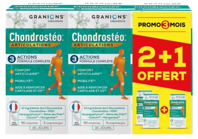 Granions Chondrostéo + Articolazioni Lotto di 3 x 90 Compresse di cui 90 Compresse Gratis