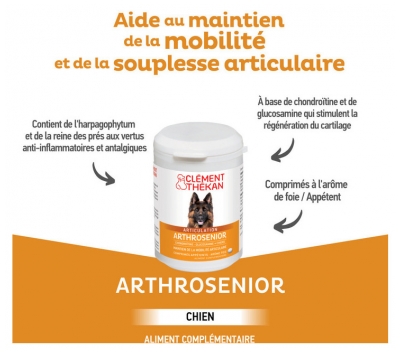 Clément Thékan Articulation Arthrosenior Chien 60 Comprimés
