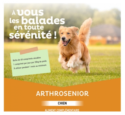 Clément Thékan Articulation Arthrosenior Chien 60 Comprimés