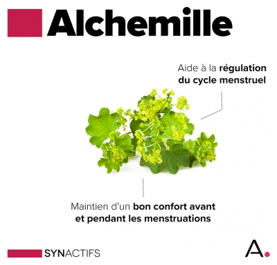 Aragan Synactifs GynedysProtect 40 Gélules