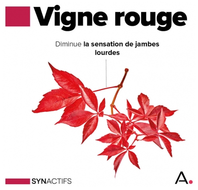 Aragan Synactifs CircActifs 60 Gélules