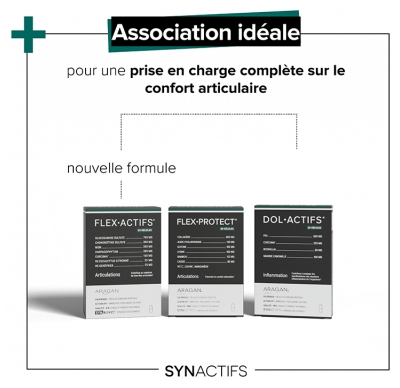 Aragan Synactifs FlexProtect 60 Gélules