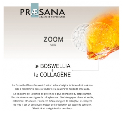 Praesana Articulation 60 Comprimés