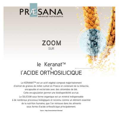 Praesana Cheveux 80 Gélules