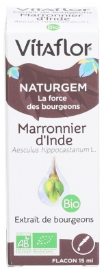 Vitaflor Wyciąg z Pączków Kasztanowca Organiczny 15 ml