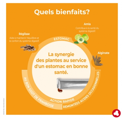 Ortis Minacia Forte Estomac Action Rapide 12 Sticks