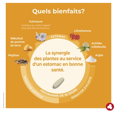 Ortis Minacia Regular Estomac 36 Comprimés