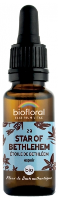 Biofloral Fiori di Bach 27 Roccia d'acqua Bio 20 ml