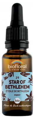 Biofloral Flores de Bach 29 Star of Bethlehem Bio 20 ml
