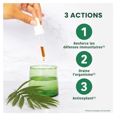 Santarome Cassis Bio 30 ml