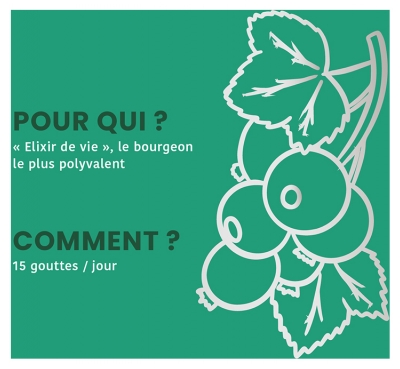 Santarome Cassis Bio 30 ml