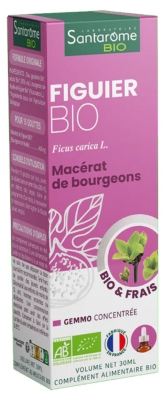 Santarome Bio Fig Tree 30 ml