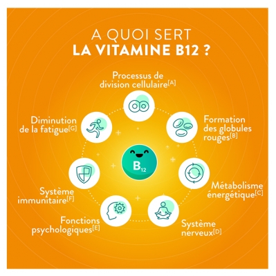 Nutri&Co Vitamine B12 120 Gélules