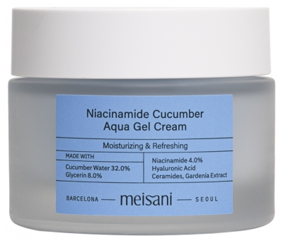 Meisani Niacinamide Cetriolo Aqua Gel Crema 50 g