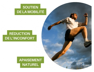 Orthonat Flexidine 300 30 Gélules