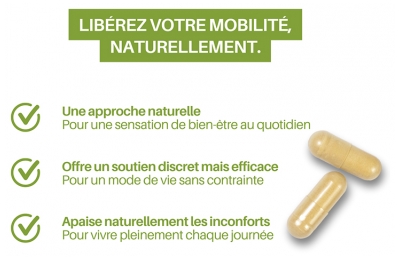 Orthonat Flexidine 300 30 Gélules