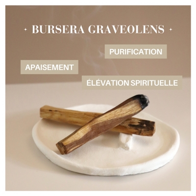 Natura Square Palo Santo 4 Bâtons de Fumigation