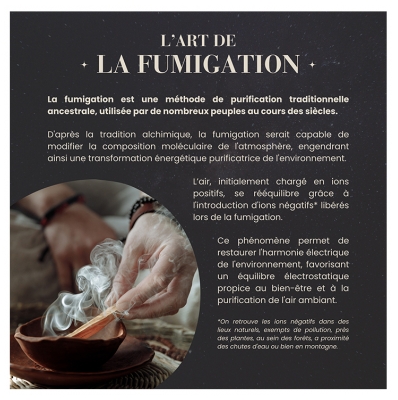 Natura Square Palo Santo 4 Bâtons de Fumigation