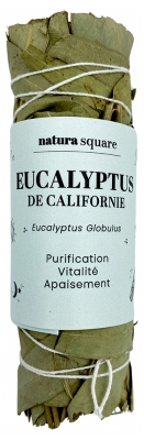 Natura Square Eucalyptus Fagot de Fumigation