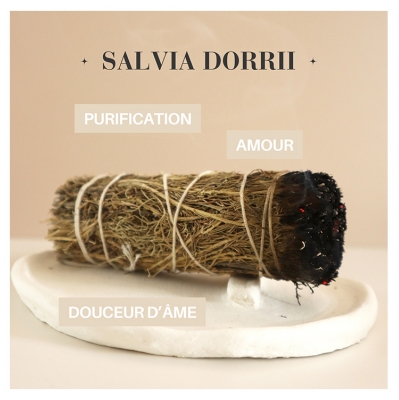 Natura Square Sauge Pourpre Fagot de Fumigation