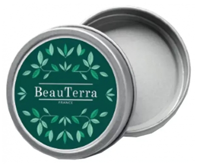 „BeauTerra“ transportavimo metalinė dėžutė