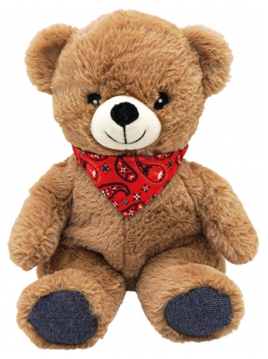 Plic Care Peluche Chaud/Froid Ourson