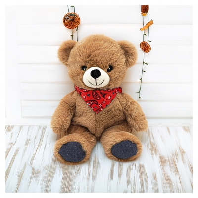 Plic Care Pluche Warm/Koud Teddybeer