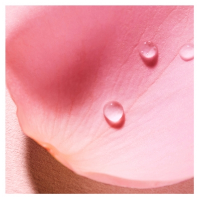 Nuxe Zeer Roos Eau Voluptueuse Parfumante 100 ml