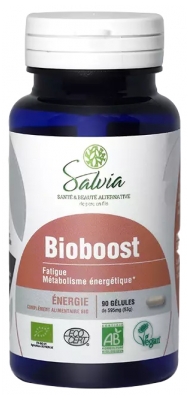 Salvia Nutrition Energi Bioboost Bio 90 Kapslar