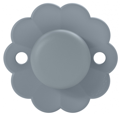 Suavinex Omkeerbare Fopspeen met Symmetrische Speen SX Pro 6 tot 18 Maanden - Modellen: Blauw