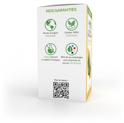 Arkopharma Arkogélules Próstata Fluxo Urinário 45 Cápsulas