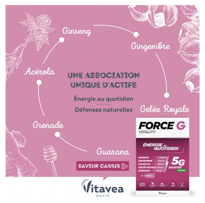 Vitavea Force G Vitality Énergie au Quotidien 10 Ampoules