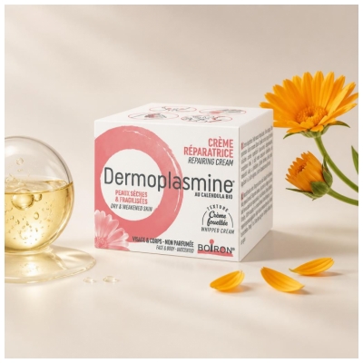 Boiron Dermoplasmina Crema Riparatrice 20 g