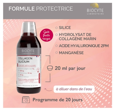 Biocyte Collagen Silicium 500 ml