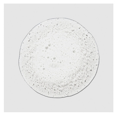 Paul Mitchell Shampooing Baby Don't Cry Kids