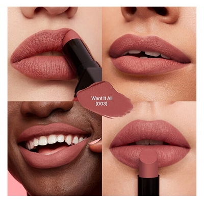 Revlon Maquillage Rouge à Lèvres Colorstay Suede Ink N°003 Want It All Revlon