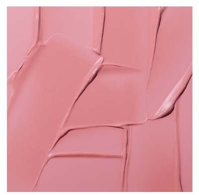 Revlon Maquillage Rouge à Lèvres Colorstay Limitless Matte N°005 Strut Revlon