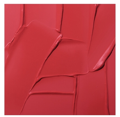 Revlon Maquillage Rouge à Lèvres Colorstay Limitless Matte N°008 Stir Me Up Revlon