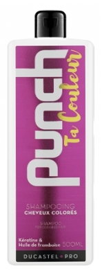 Champú Punch Your Colour Ducastel Pro 500ml