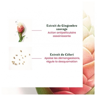 RENE FURTERER Shampooing Antipelliculaire Pellicules Grasses Neopur René Furterer 250ml