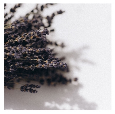 Berdoues Eau de Cologne Lavande Berdoues 245ml