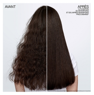 Redken Shampooing Anti-frisottis Frizz Dismiss