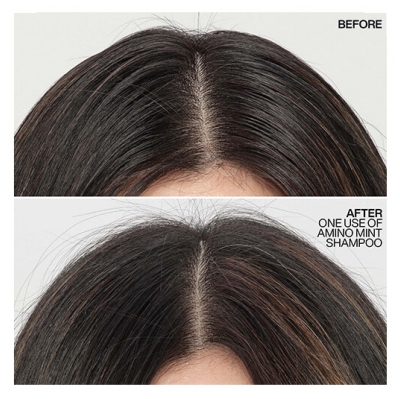 Redken Shampooing Amino Mint Scalp Relief