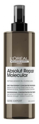 Absolut Repair Molecular L'Oréal Pré-traitement Absolut Repair Molecular L'Oréal Pro 190ml