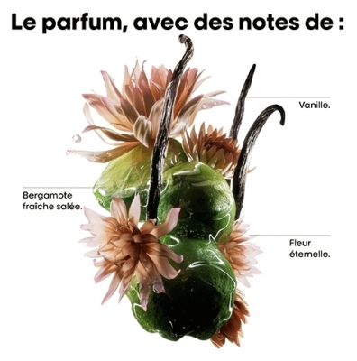 Absolut Repair Molecular L'Oréal Masque Réparateur Absolut Repair Molecular L'Oréal Pro 250ml