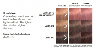 Wella Color Fresh Masque Rose Blaze