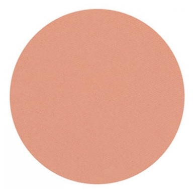 Parisax Pro Fard à Paupières Mat Rose Saumon Parisax