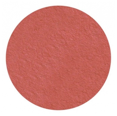 Parisax Pro Matt Ögonskugga Dammig Rosa Parisax