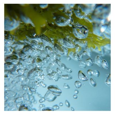 Urban Keratin Shampooing Marin Ocean Therapy Urban Keratin 1L